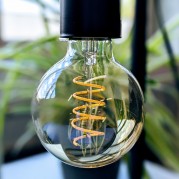 Bulb