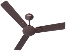 Havells Enticer Ceiling Fan 1200 mm espresso brown copper